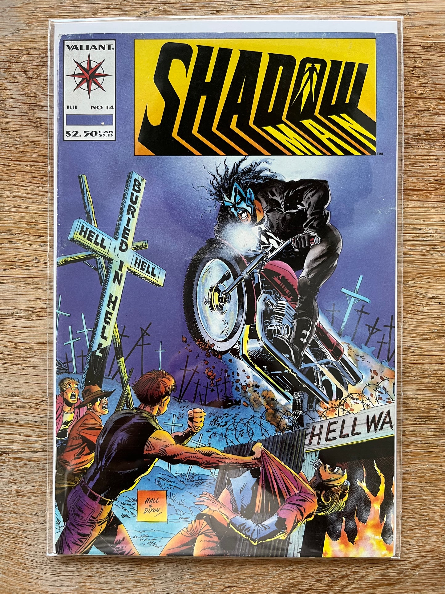 Shadowman #14
